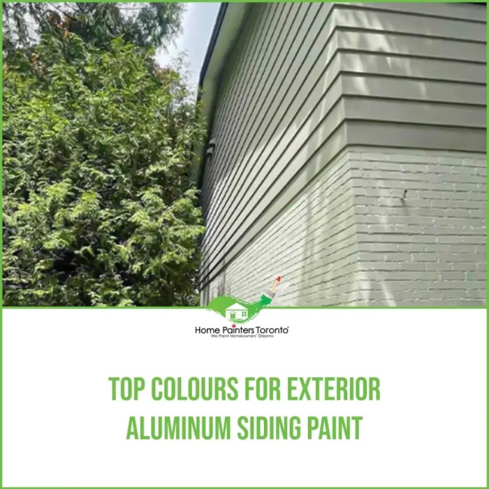 What paint is best for aluminum siding